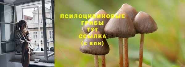 дживик Осинники