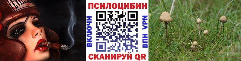 Купить закладки  Хасавюрт  Псилоцибиновые грибы мицелий 
